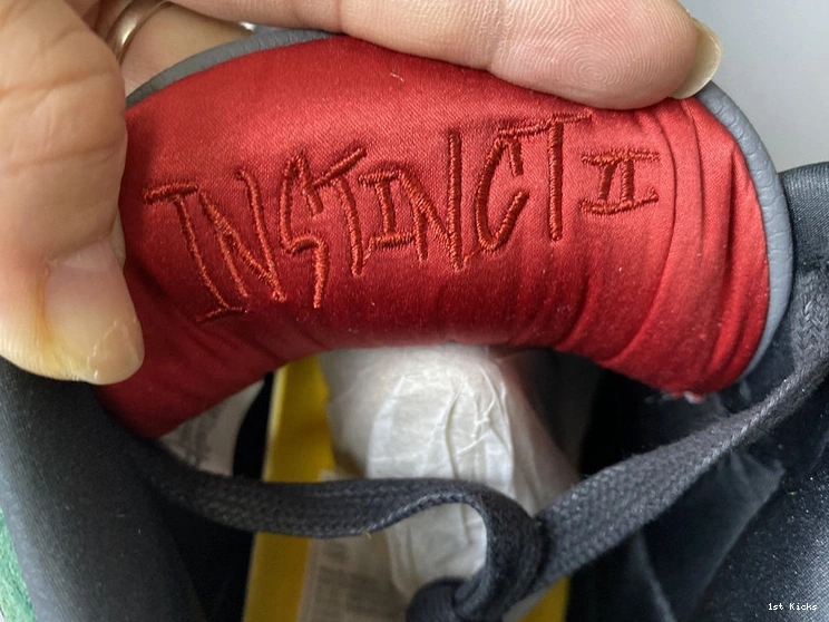 SE 3 Air Jordan 2.0” “Animal CV3583-003 Instinct 0925